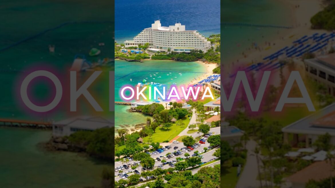 OKINAWA – Japan Travel – Part 6 – Top Travel Guide πβ΄οΈπ£οΈ #travel #okinawa #japan #japanese OKINAWA - Japan Travel - Part 6 - Top Travel Guide πβ΄οΈπ£οΈ #travel #okinawa #japan #japanese