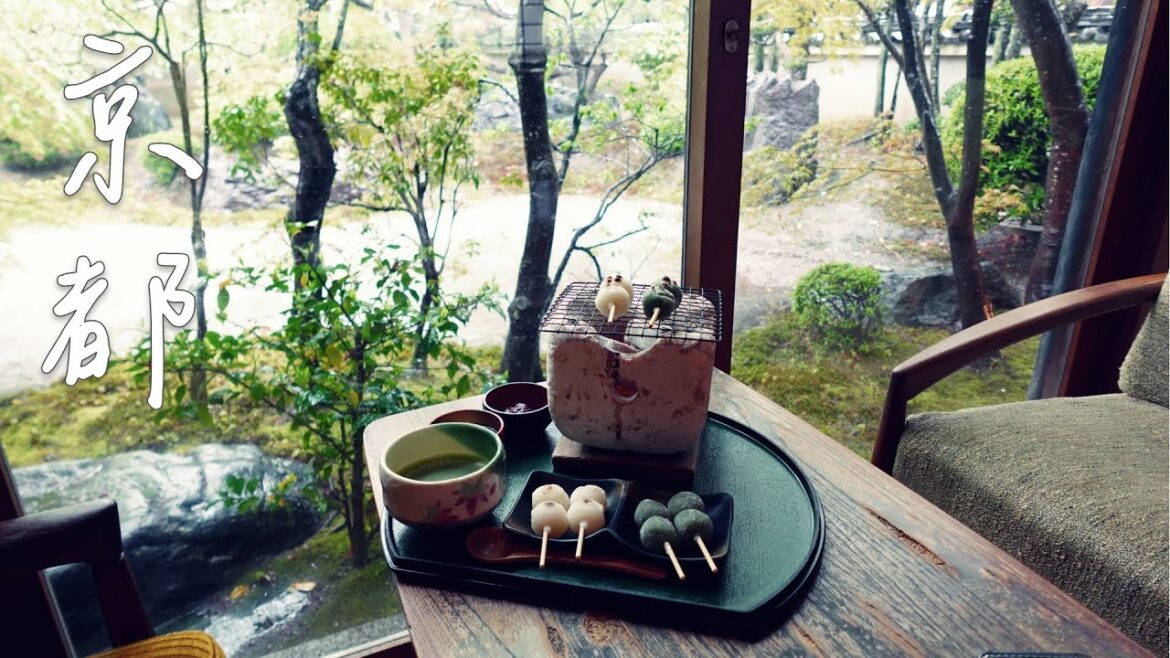 京都的櫻花吹雪了，還有哪裡可以去？｜紫藤花開、六孫王神社｜開化堂咖啡館｜春天的水果三明治｜eX Café 嵐山本店、炭烤糰子｜嵯峨野觀光小火車｜日本花見Ep.17｜JAPAN SAKURA Vlog