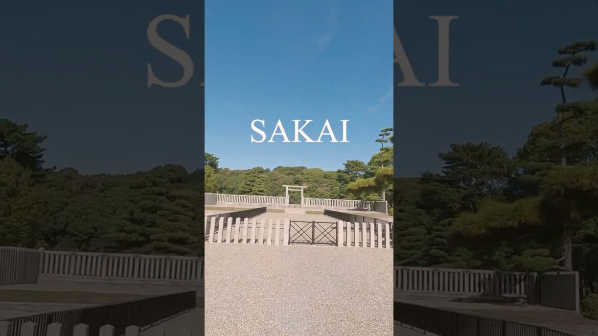 Sakai| Tra antiche tombe e il Parco Daisen #travel #vlog