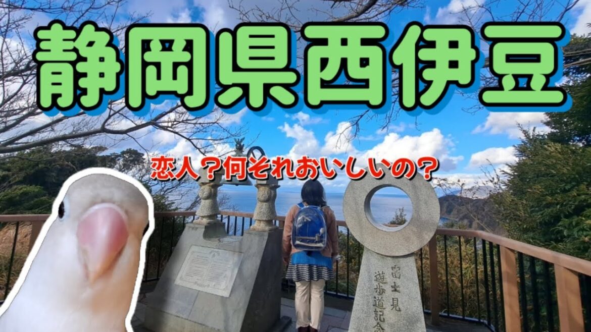 【2人と1羽】最終日！インコと恋人デート？！海と絶景と富士山と【西伊豆編】