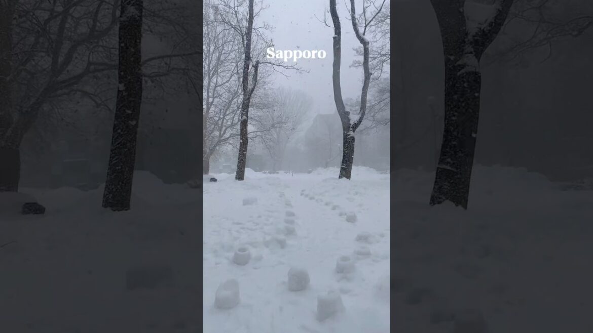Heavy snowfall in Sapporo Japan today, February 11, 2025 #sapporo #heavysnow #japan