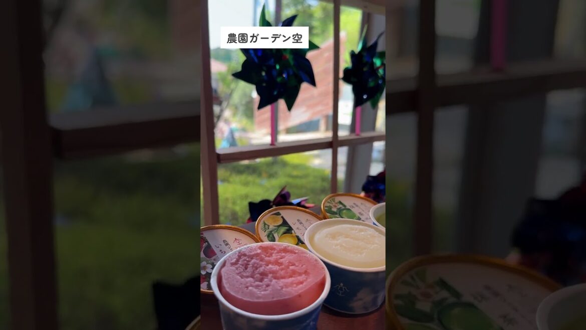 北・中薩摩エリア|KAGOSHIMA TRIP #shorts 北・中薩摩エリア|KAGOSHIMA TRIP #shorts