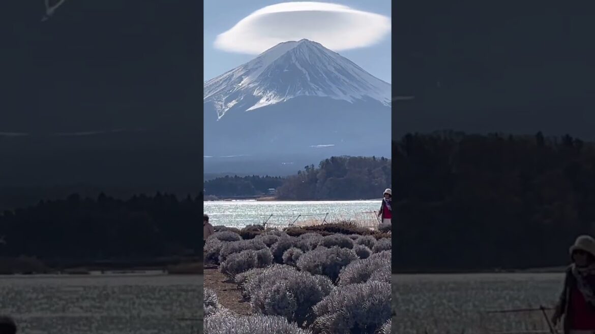 UFO on the top of Mt. Fuji #travel #mountfuji #japan