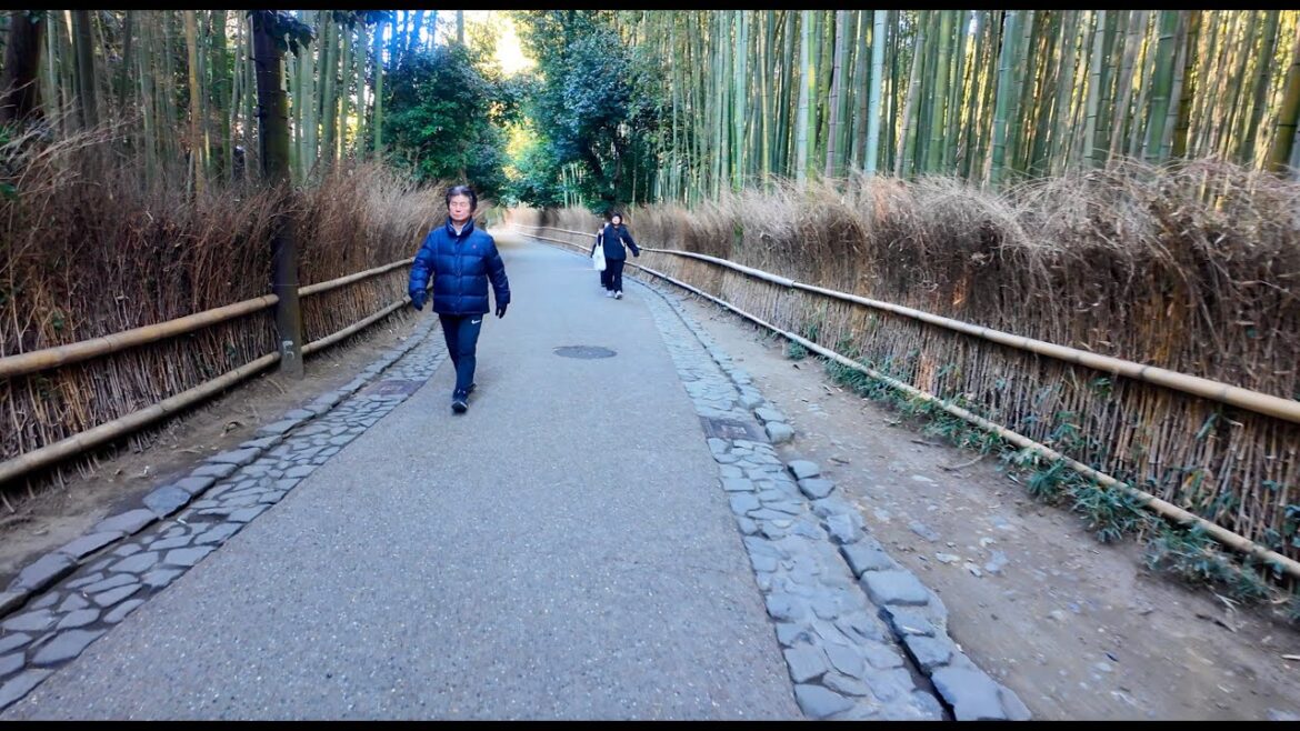 Arashiyama Bamboo Forest Walk in [4K 60FPS] | Kyoto Japan Tour 🌿