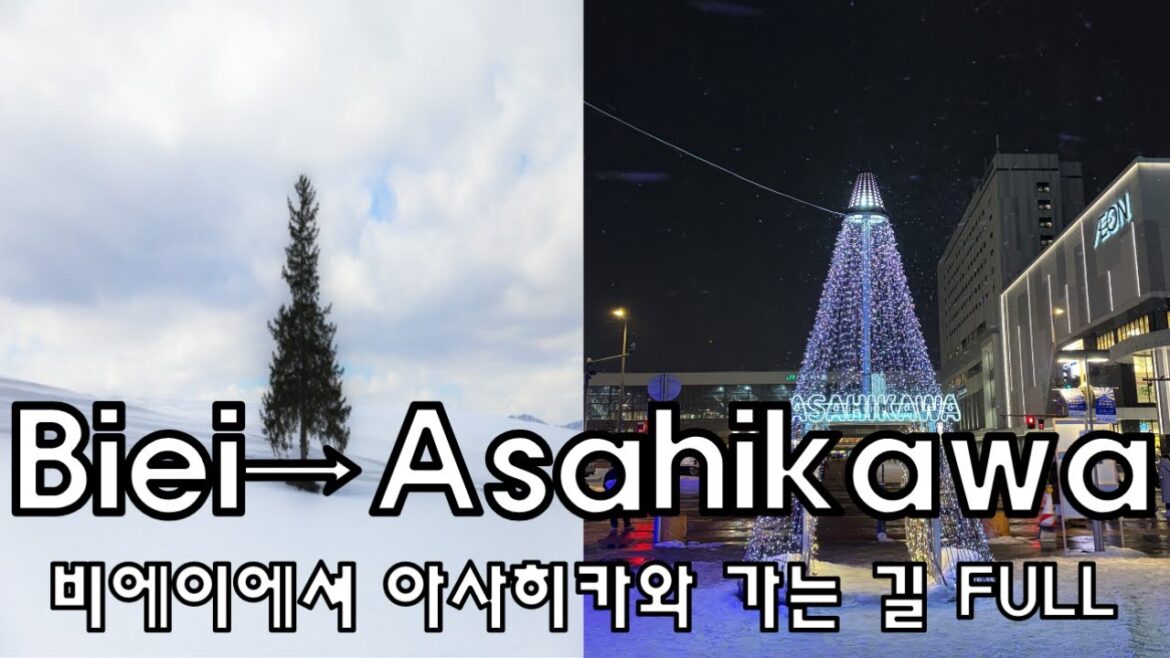 🇯🇵 비에이-아사히카와 힐링 기차여행 FULL / Furano Line