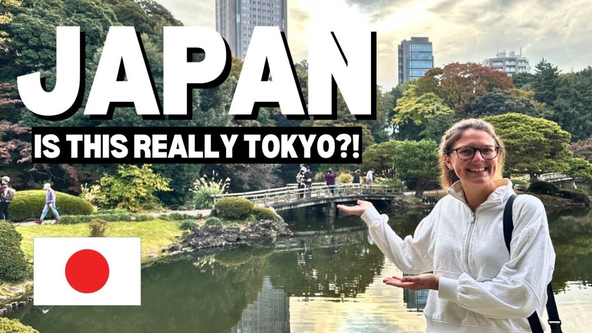 Our FIRST IMPRESSIONS Of Japan - We Did NOT Expect To Find This In Tokyo!