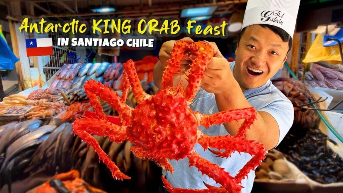 🦀 GIANT Antarctic KING CRAB & TRADITIONAL Market STREET FOOD Tour in Santiago Chile