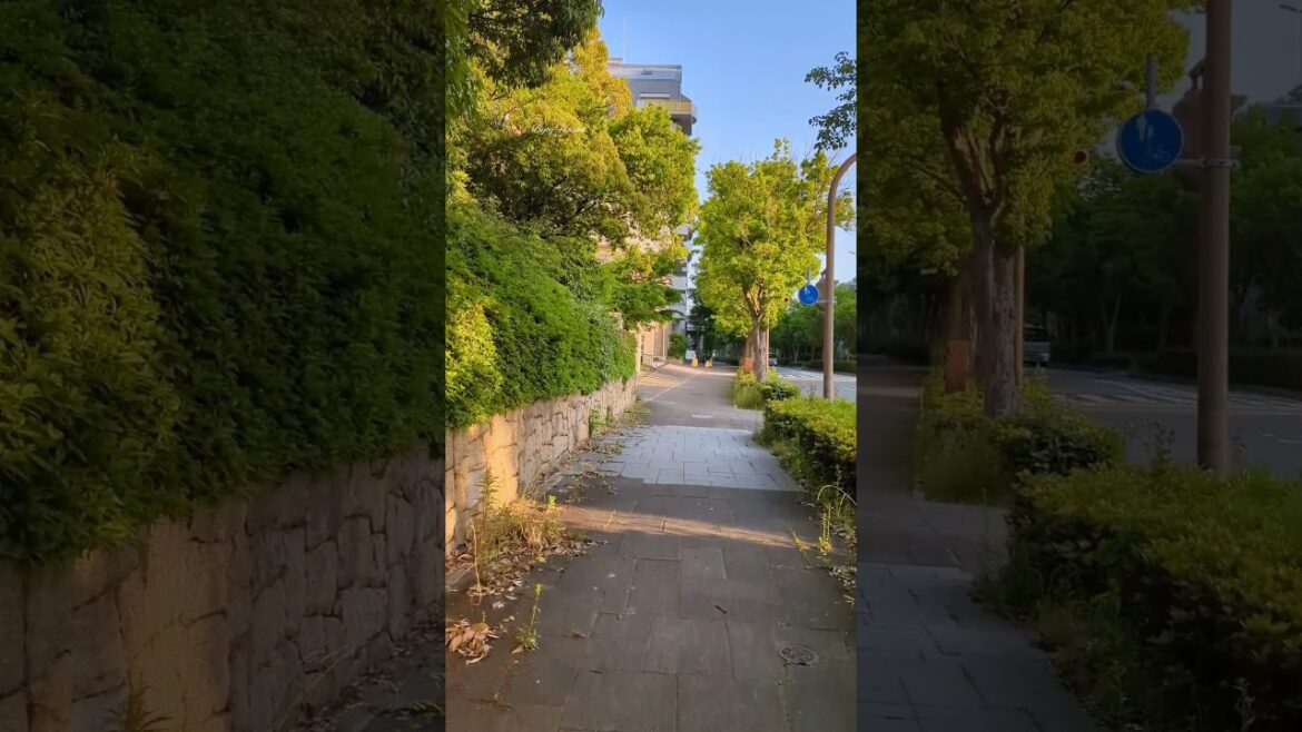 জাপানে কিছু সময়