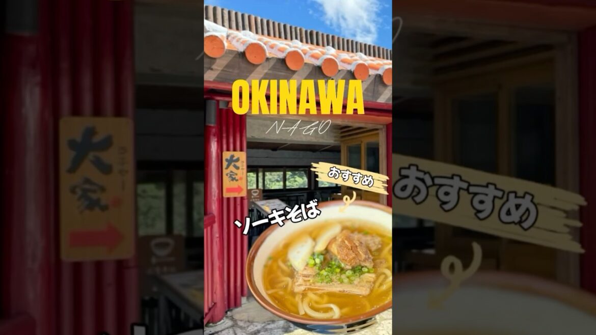沖縄 名護のおすすめソーキそば【大家うふやー】🌺 #沖縄 #名護 #ソーキそば #沖縄そば #旅行 #観光 #グルメ #食べ歩き  #travel #food #trip #okinawa