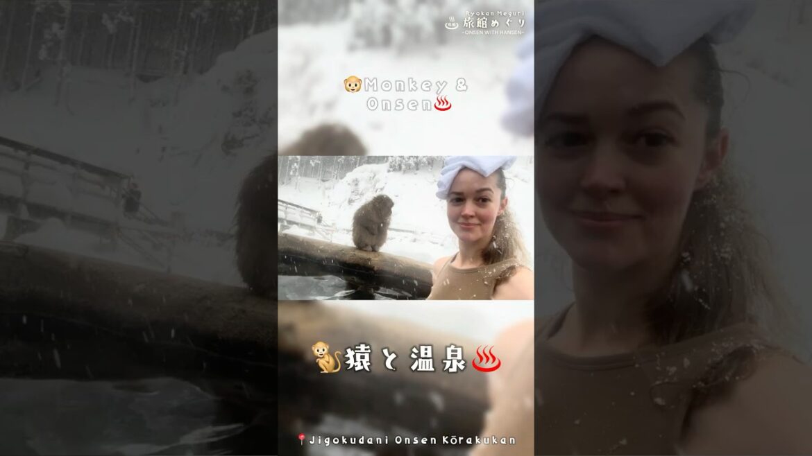 【お猿さんと温泉】Bathing with Snow Monkeys at Jigokudani Onsen! 🐵♨️❄️ #jigokudani  #SnowMonkeys #長野県 #地獄谷温泉