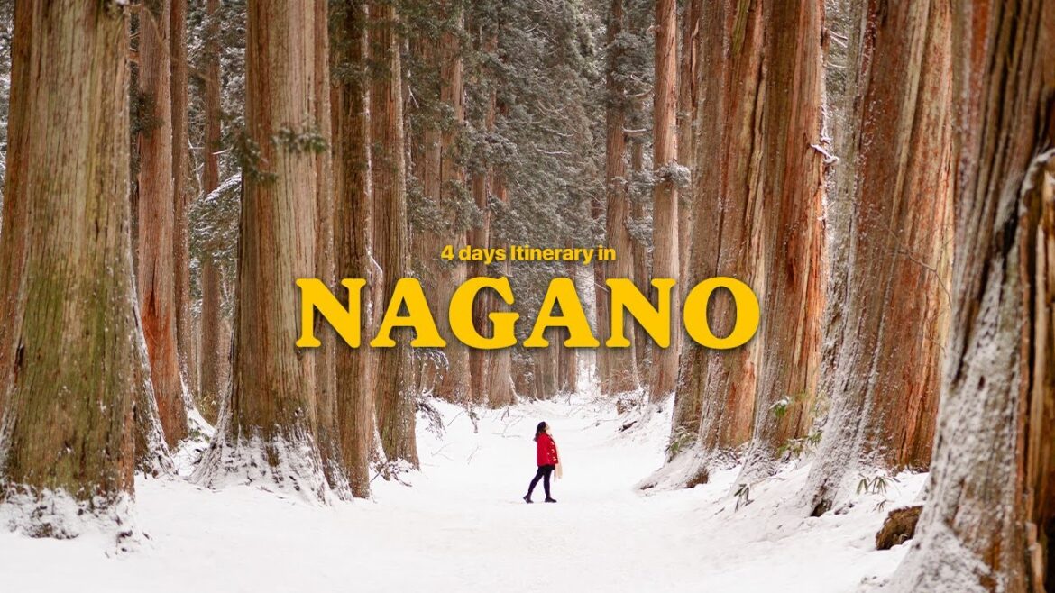 winter trip to nagano travel guide to matsumoto, narai-juku, togakushi shrine 🇯🇵 winter trip to nagano travel guide to matsumoto, narai-juku, togakushi shrine 🇯🇵
