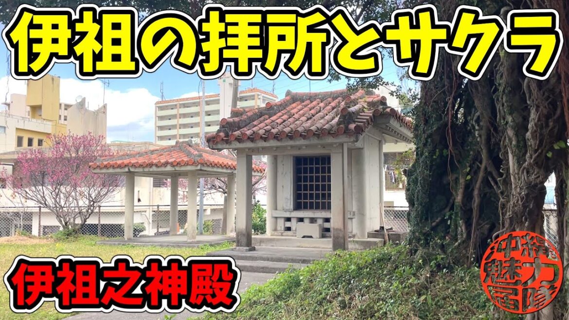 【伊祖之神殿】伊祖の拝所めぐりとカンヒザクラ！伊祖公園の英租之宮・英租王の拝所とティダヌカー・伊祖之神殿とガジュマル！