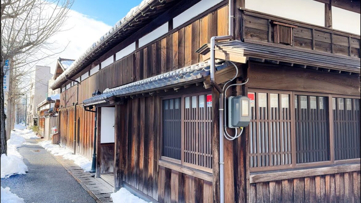 Honcho-dori walk, Niigata Japan //4K