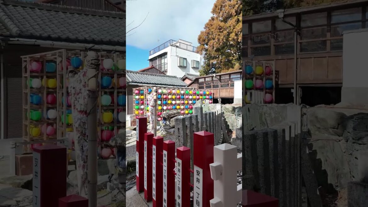 Wakeoe Shrine, known in Japanese as 別小江神社 (Wakeoe Jinja) #shorts #nagoya #japanvlog Wakeoe Shrine, known in Japanese as 別小江神社 (Wakeoe Jinja) #shorts #nagoya #japanvlog