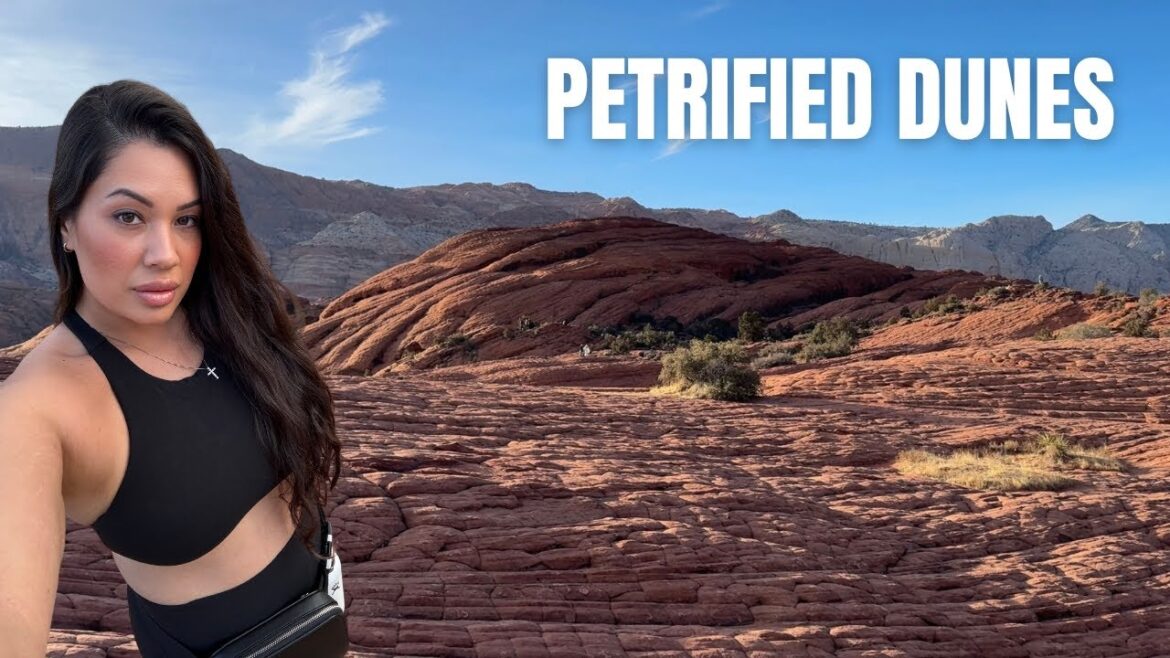 petrified dunes at snow canyon state park | UTAH