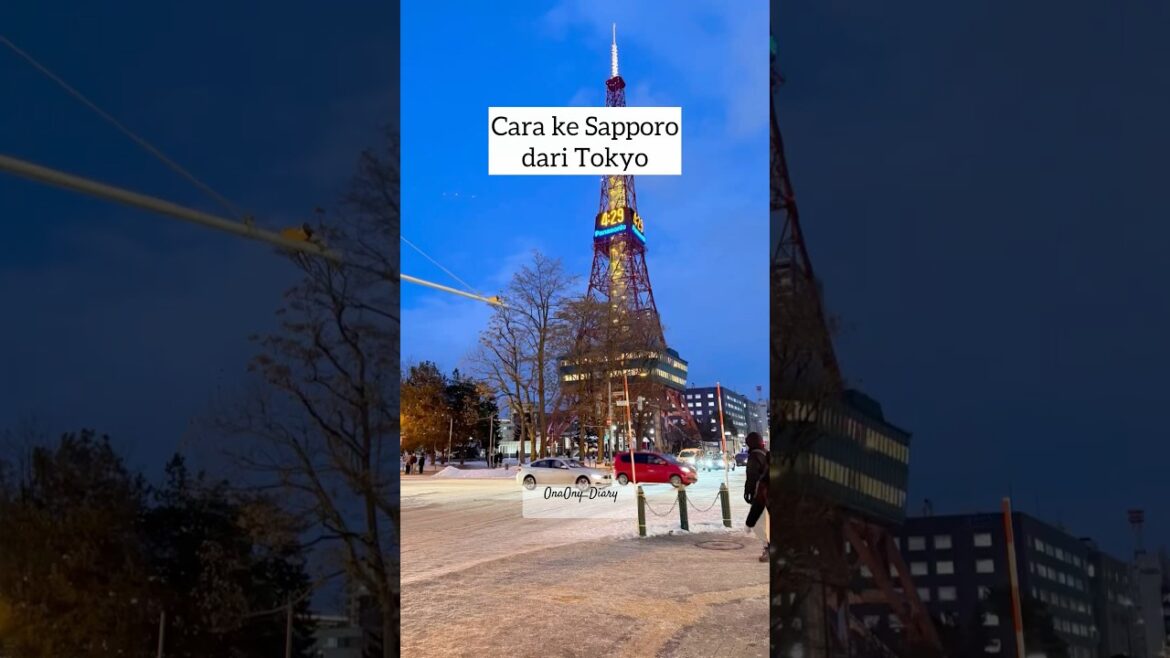 #japan #jepang #winter #sapporo #recommended #tips #ideas #snow #liburan #tiketpesawat #vlog #travel