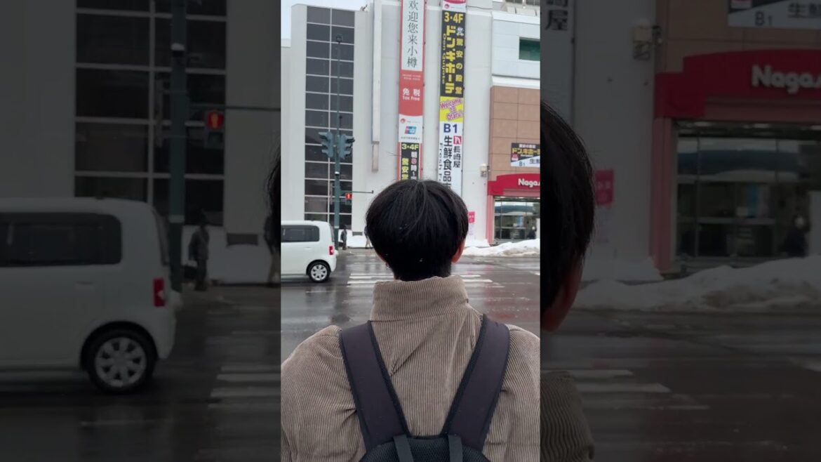 A Winter Day in Otaru | Hokkaido Japan | February #japan #hokkaido