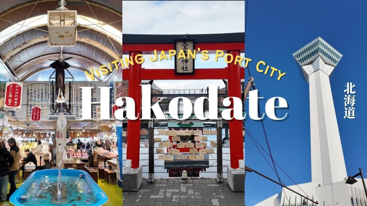 Hokkaido Travel Vlog 🇯🇵 | Hakodate Morning Market, Local Foods & Cozy Slow Living Hokkaido Travel Vlog 🇯🇵 | Hakodate Morning Market, Local Foods & Cozy Slow Living