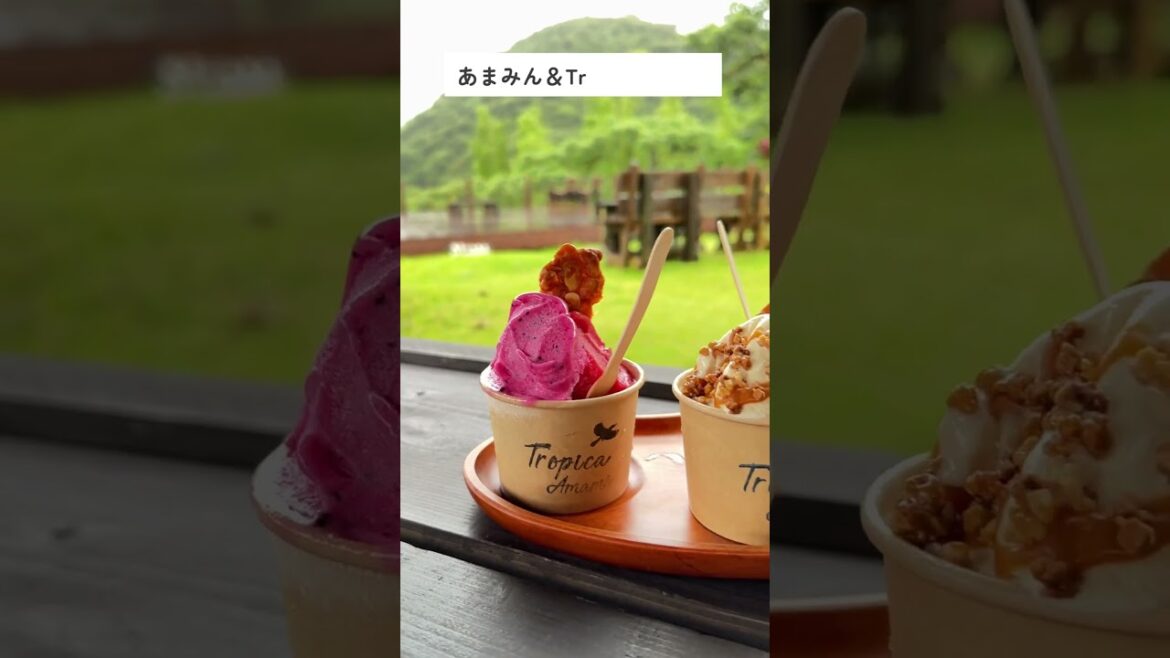 しま旅｜KAGOSHIMA TRIP　#shorts