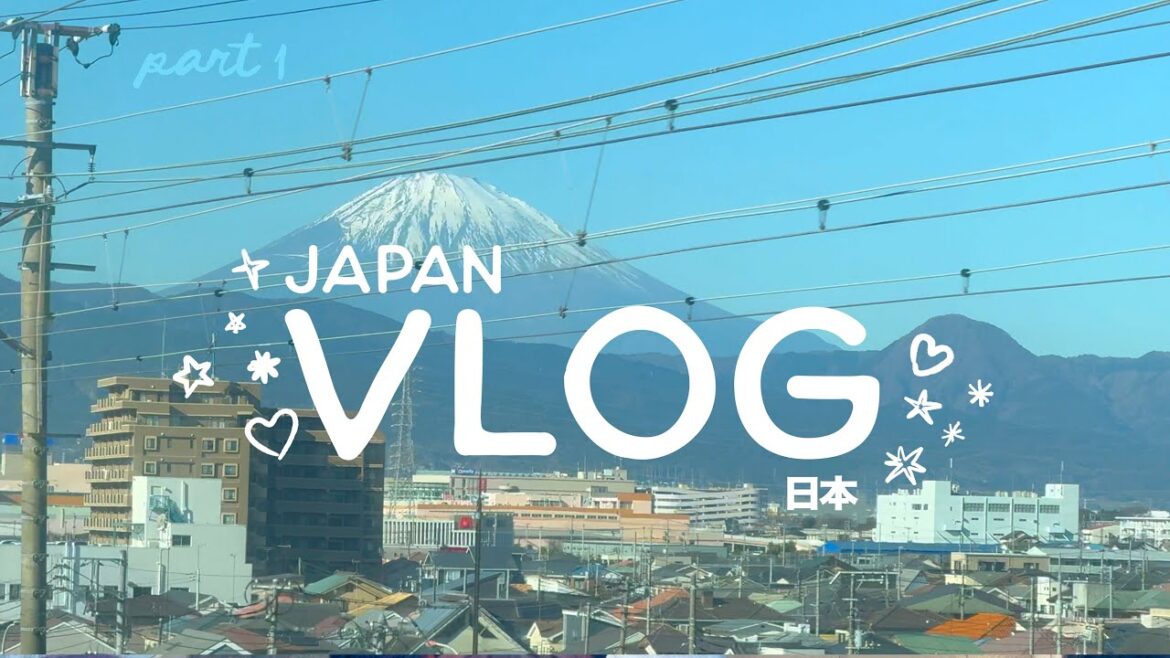 🌸 Japan Vlog | New Year’s Celebration, Hakone Ryokan, Asakusa, Pt.1 🌸 Japan Vlog | New Year's Celebration, Hakone Ryokan, Asakusa, Pt.1