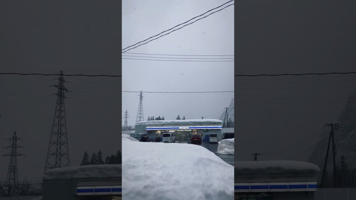 Frozen of Japan #niigata