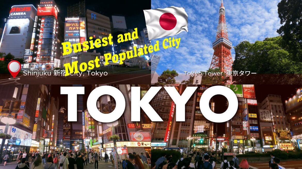 Day 8 in Japan, Tokyo Walking Tour | Shinjuku | Minato | Ginza | Omoide Yokocho | Hie Shrine