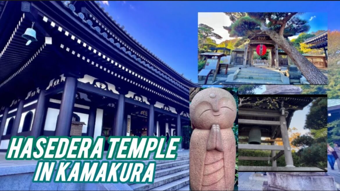 Hasedera Temple in Kamakura, A place to visit Hasedera Temple in Kamakura, A place to visit