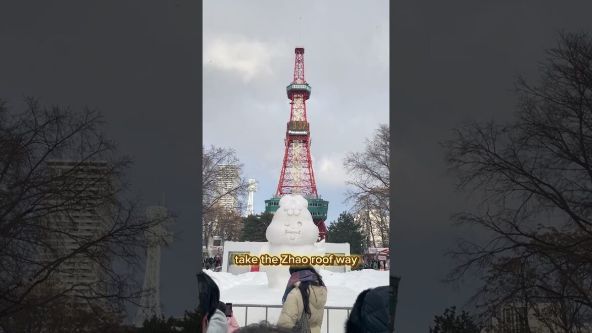 Top 5 Best Places to experience Snow in Japan Top 5 Best Places to experience Snow in Japan