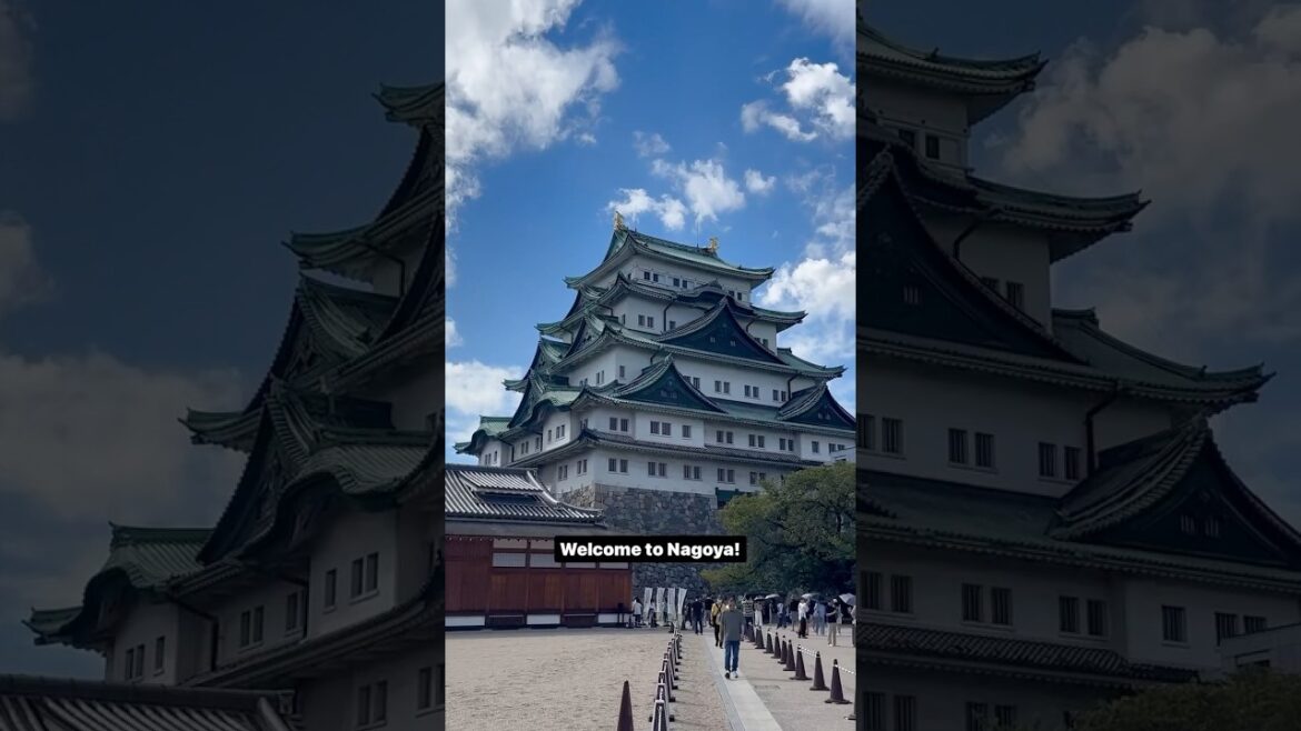 Nagoya in a day! 🇯🇵 Make sure you get to see these highlights 🏯#nagoya #japan
