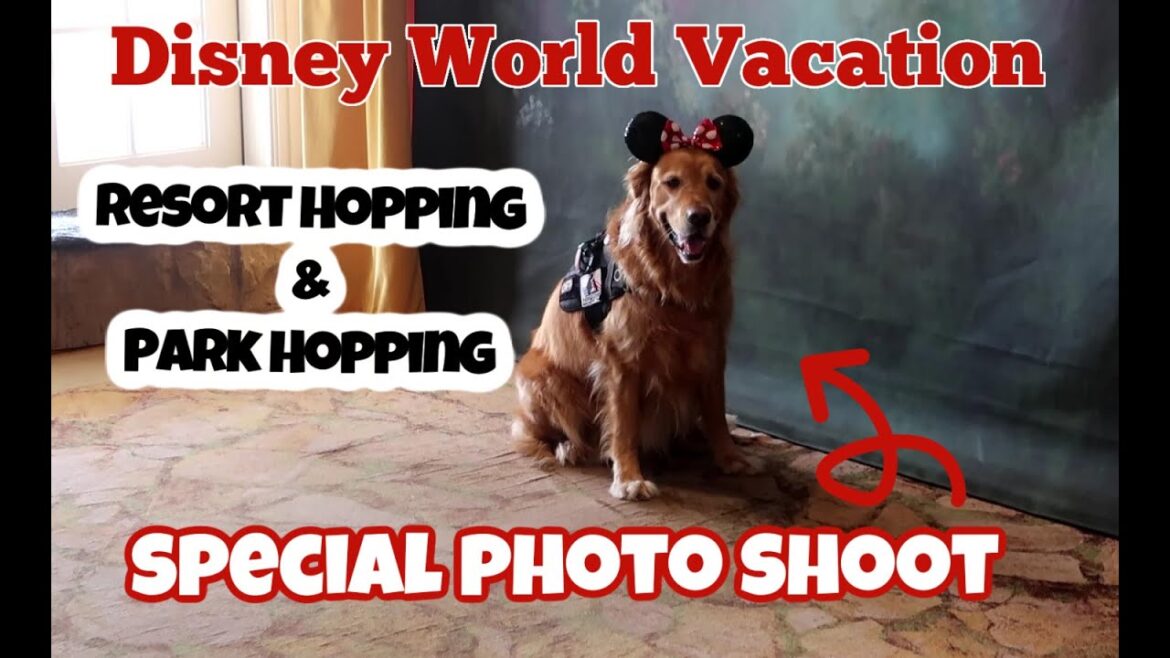 Disney World Vacation Resort Hopping | Shopping at Magic Kingdom | Dinner at Hollywood Studios