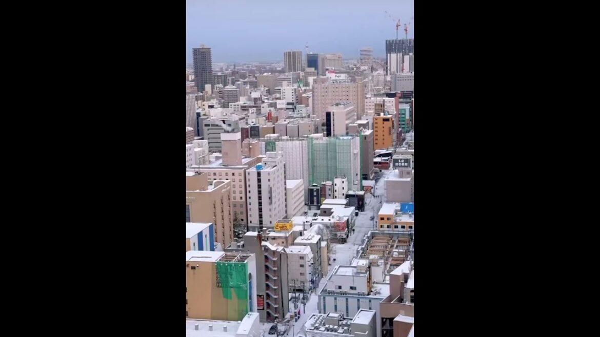 Sapporo is Winterland! CHECK OUT THIS BEAUTY #wonderland #sapporo #japan #winter #travel #explore