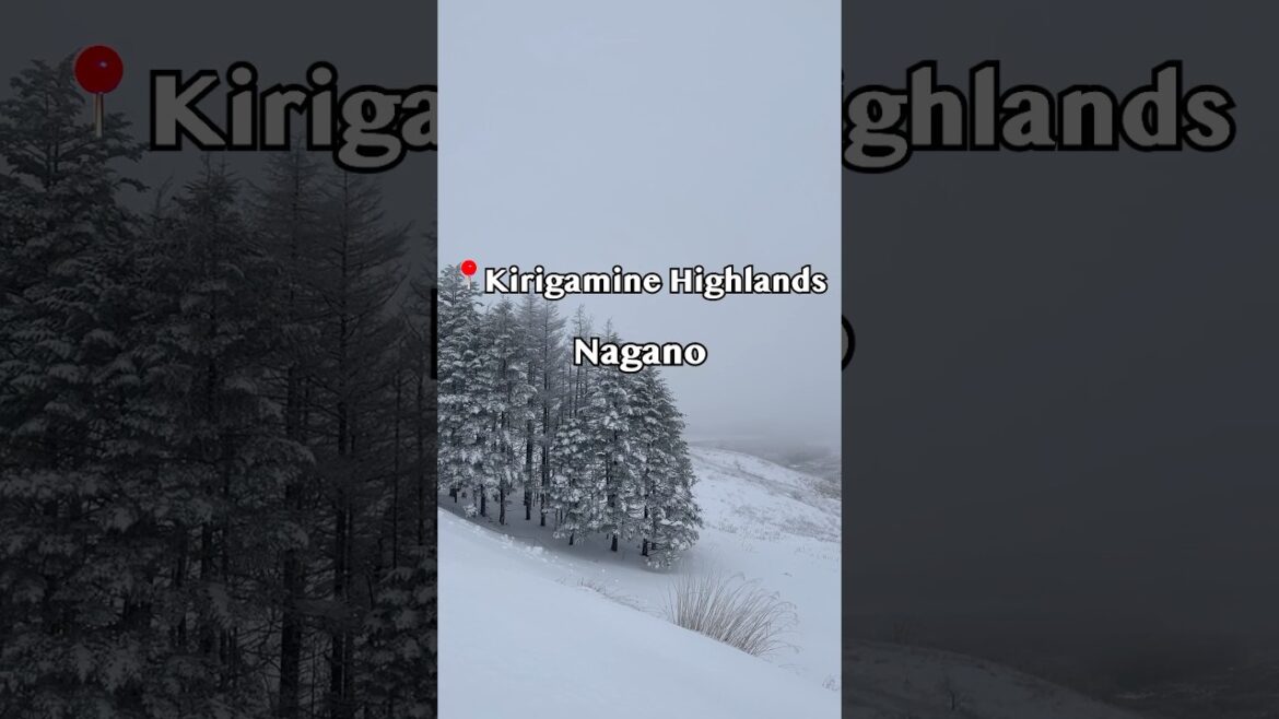 ⛄️❄️Kirigamine Highlands – Nagano (霧ヶ峰高原 – 長野) ⛄️❄️Kirigamine Highlands - Nagano (霧ヶ峰高原 – 長野)