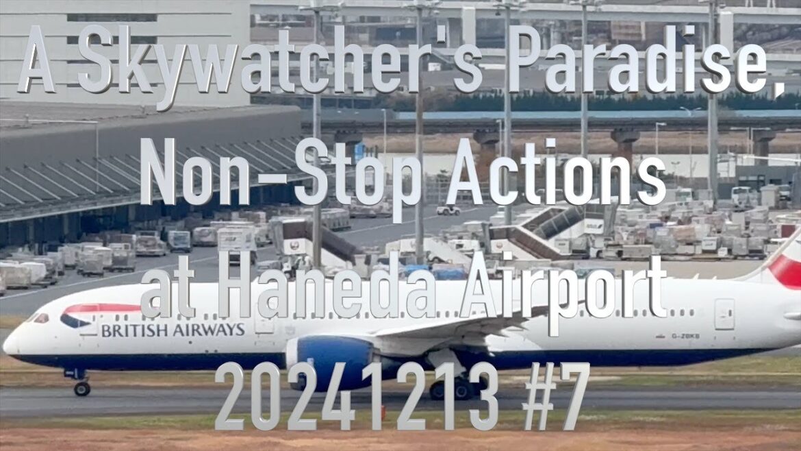 A Skywatcher's Paradise, Non-Stop Actions at Haneda Airport 20241213 #7 #japan  #tokyo #haneda #love