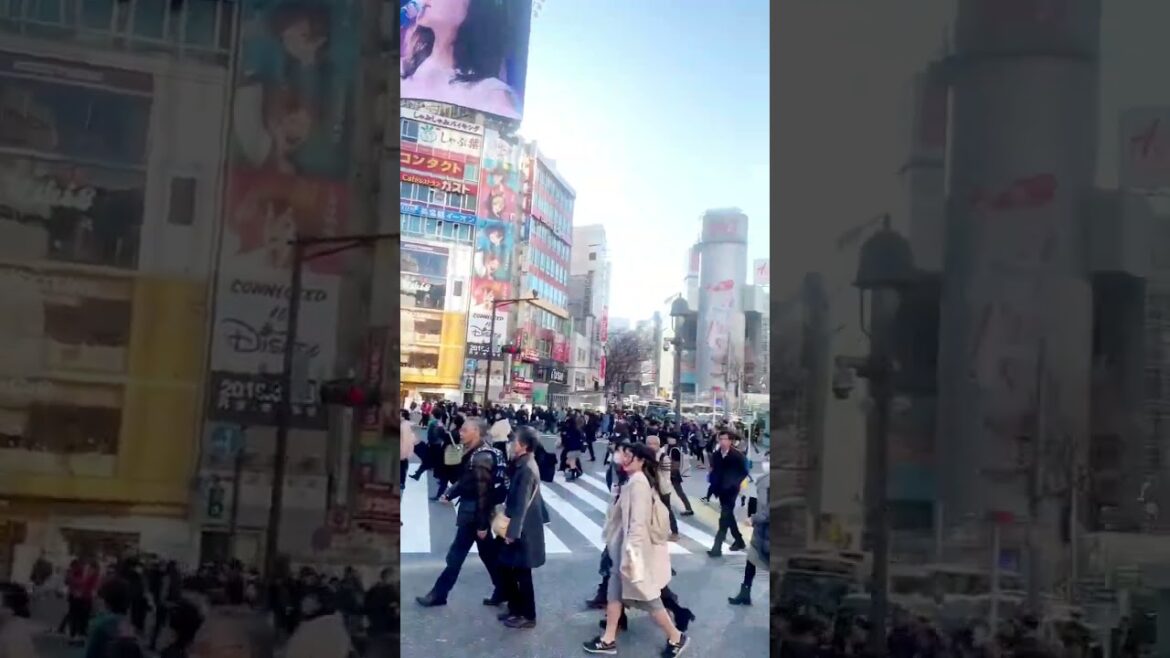 Shibuya City π―π΅ | Best Views & Must-Visit Spots in Tokyo! πβ¨ #winterinjapan #snow #travel Shibuya City π―π΅ | Best Views & Must-Visit Spots in Tokyo! πβ¨ #winterinjapan #snow #travel