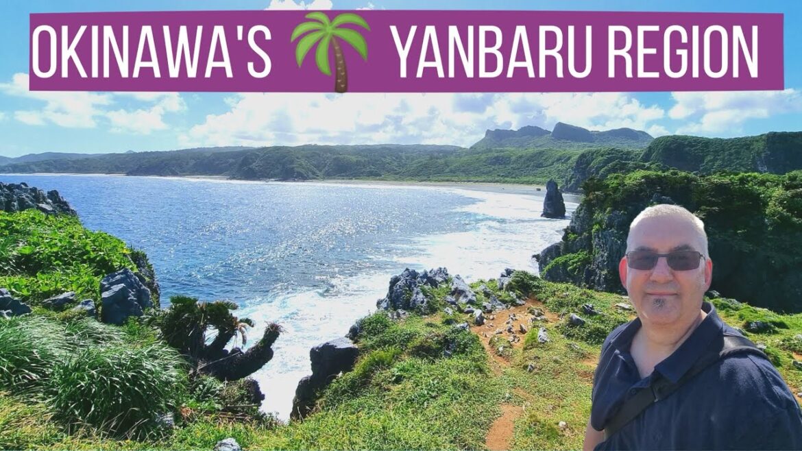 Exploring Okinawa's Rugged Yanbaru Region