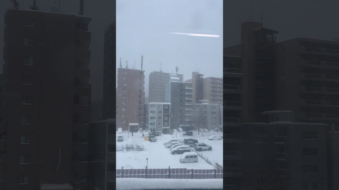 Snowy commute in Sapporo Japan – January 31, 2025 Snowy commute in Sapporo Japan - January 31, 2025