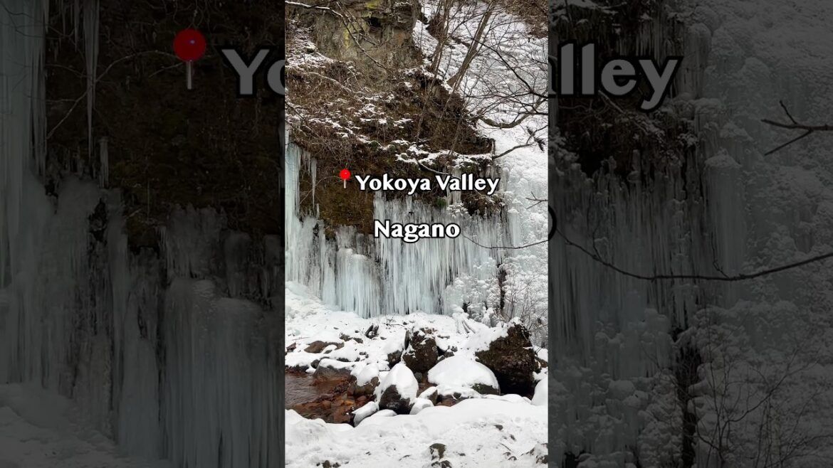 ⛄️❄️Yokoya Valley – Nagano (横谷渓谷 – 長野) ⛄️❄️Yokoya Valley - Nagano (横谷渓谷 – 長野)