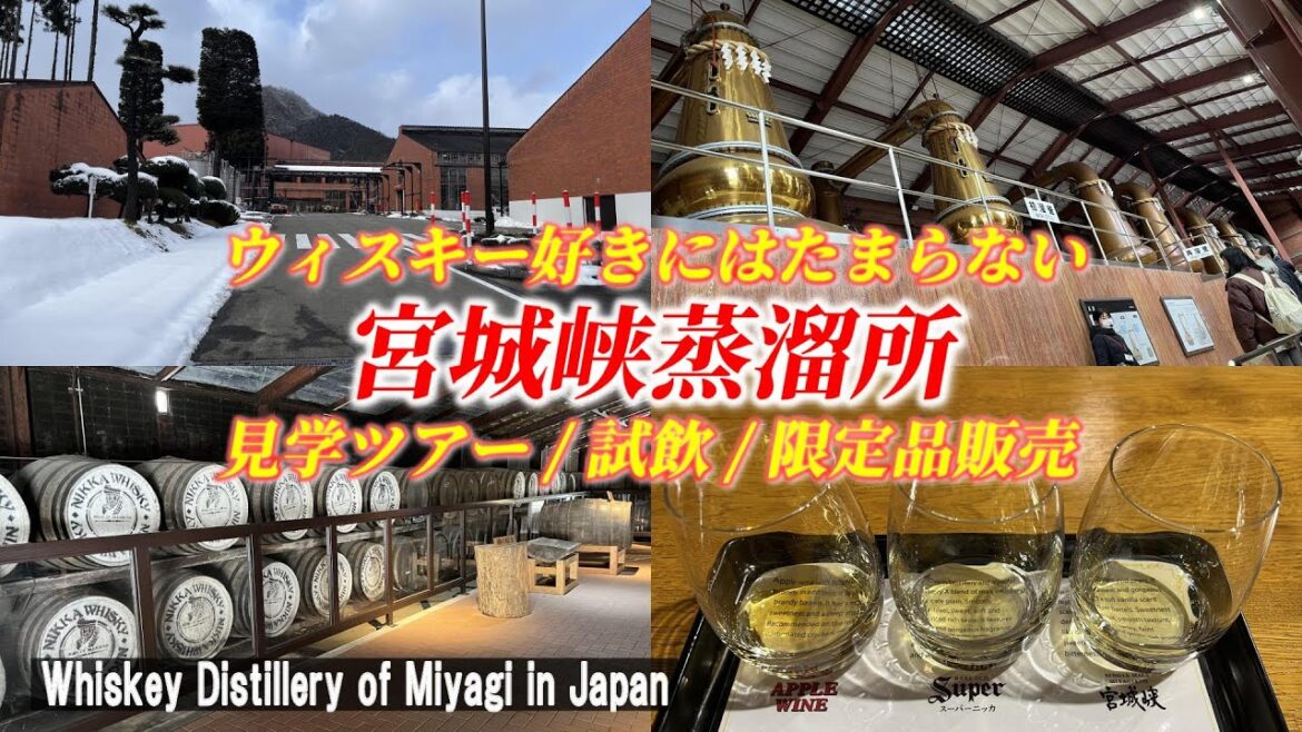 【宮城峡蒸溜所】酒好きのおっさんがウイスキー工場の見学ツアー！「ニッカウヰスキー仙台工場」【Whisky distillery tour / Miyazaki in Japan】