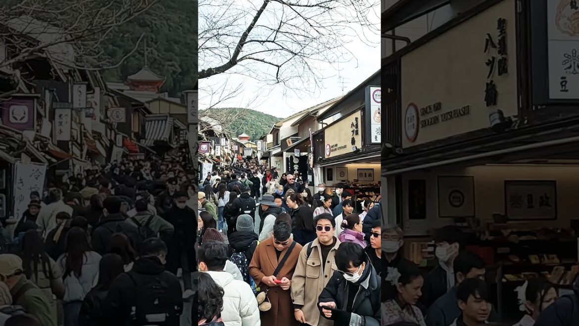 January 12, 2025: Kyoto's Kiyomizu-dera Temple is crowded with people