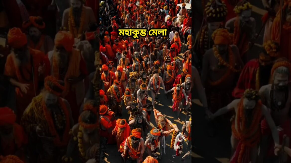 শুরু হয়ে গেলো মহাকুম্ভ মেলা Maha Kumbh Mela 2025 #mahakumbh2025 #mahakumbhmela2025 #travelwithdeep