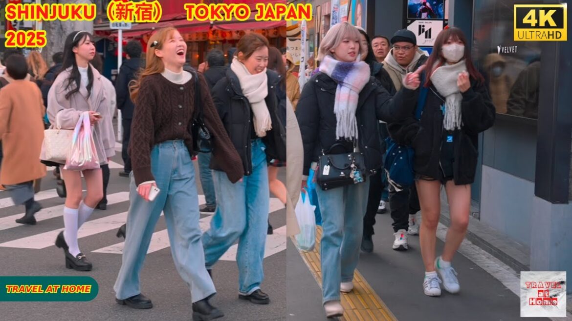 4k hdr japan travel 2025 | Walk in Shinjuku(新宿)Tokyo Japan | Relaxing Natural City ambience 4k hdr japan travel 2025 | Walk in Shinjuku(新宿)Tokyo Japan | Relaxing Natural City ambience