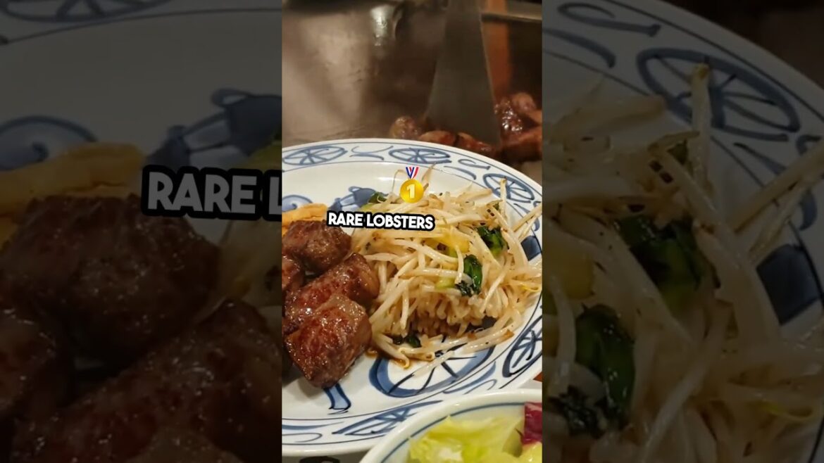 $25,000 Taco and Other Luxuries! #LuxuryFood #ExpensiveEats #TravelDebate