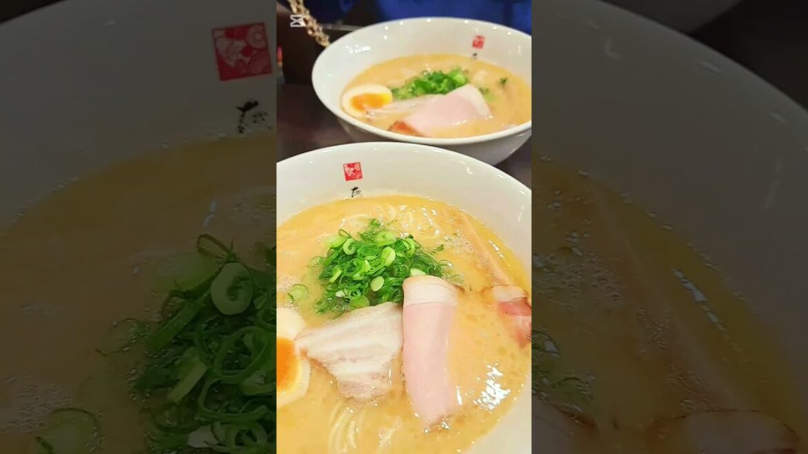 Okayama✈️🇯🇵 去了日本小眾城市 晴天之國岡山 ！#Okayama #japan #日本 #🇯🇵 #旅遊 #岡山 #晴天之國 #雪 #snow #vacation #winter #trip