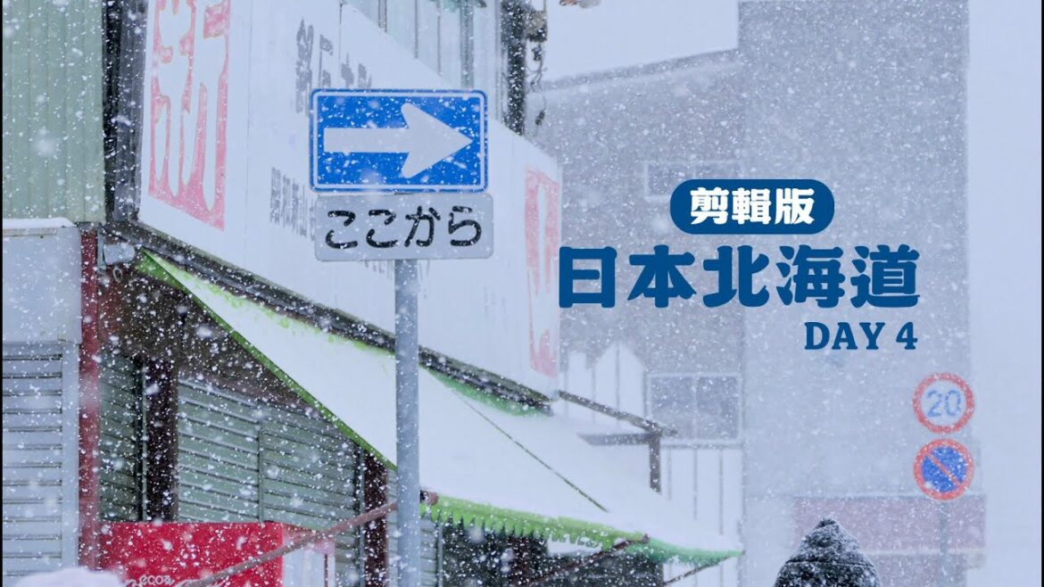 剪輯版》 日本北海道 Day4 跟團家人出遊 昭和新山下大雪！函館山搭纜車看夜景 - 20241211