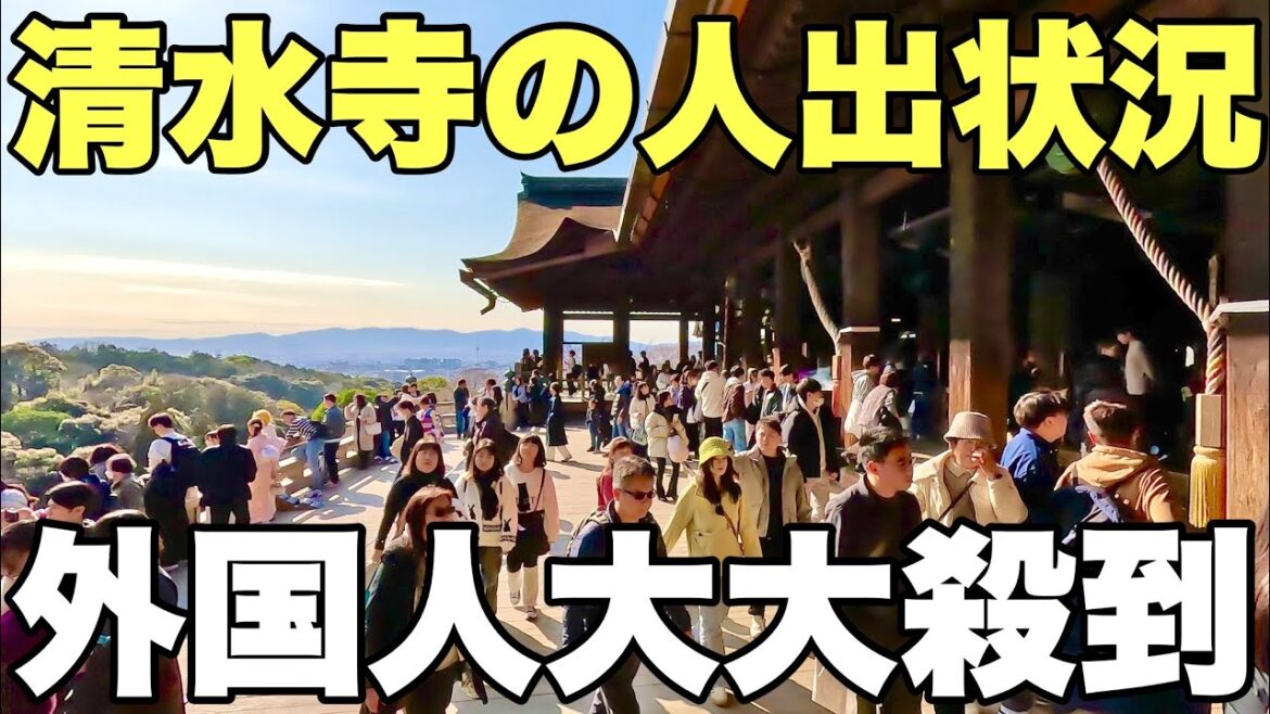 【4K】2025年2月15日（土）京都清水寺の人出状況。外国人観光客大大殺到！京都清水寺的人群狀況。大量外國遊客湧入！Kiyomizu-dera Temple in Kyoto japan.
