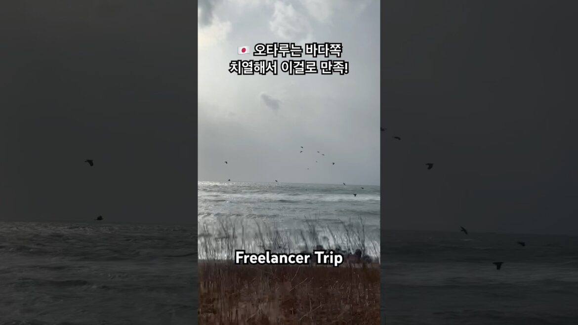 π―π΅ μ€ν루λ λ°λ€μͺ½ μΉμ΄ν΄μ μ΄κ±Έλ‘ λ§μ‘±! #λ°λ€λ·° #λ°λ€ #shorts #μ€ν루 #otaru π―π΅ μ€ν루λ λ°λ€μͺ½ μΉμ΄ν΄μ μ΄κ±Έλ‘ λ§μ‘±! #λ°λ€λ·° #λ°λ€ #shorts #μ€ν루 #otaru