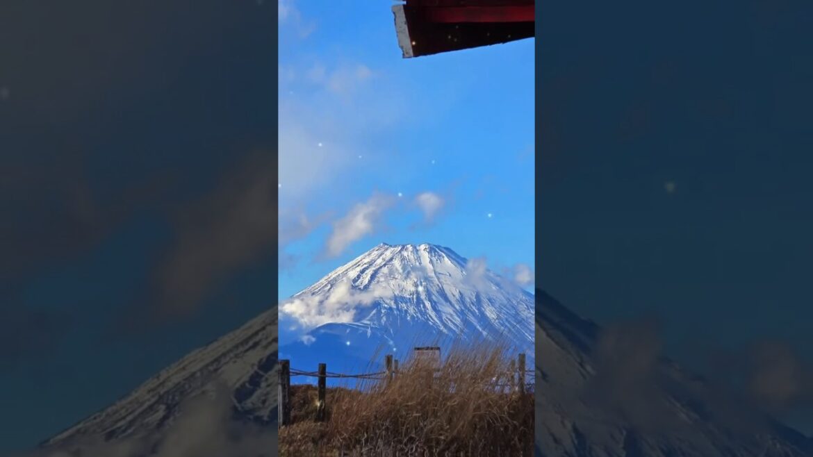 Hakone Torii and Mototsumiya Shrine #japan #tokyo