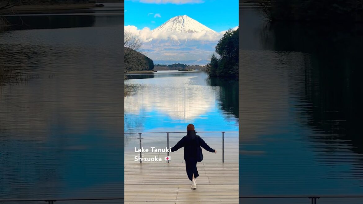 จุดชมวิวภูเขาไฟฟูจิ ที่คนยังไปน้อยแต่สวยมาก Lake Tanuki, Shizuoka 🇯🇵 #fuji #traveljapan