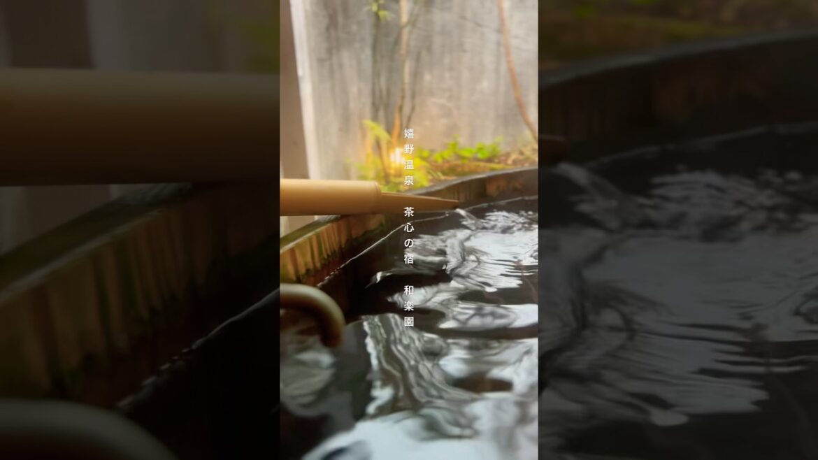 日本三大美肌の湯『嬉野温泉 茶心の宿 和楽園』貸切風呂とお茶しゃぶしゃぶがよかった🍵 #佐賀旅行