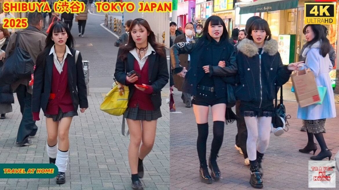 4k hdr Japan travel 2025 | Walk in Shibuya (渋谷) Tokyo Japan |  Relaxing Natural City ambience